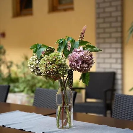 Nocleg ze śniadaniem Atrium Agard Panzio