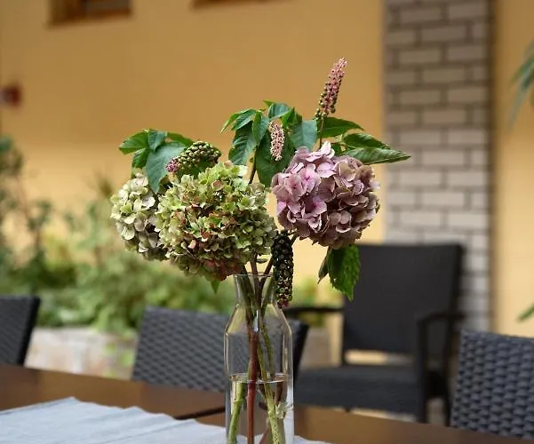 Bed & Breakfast Atrium Agard Panzio